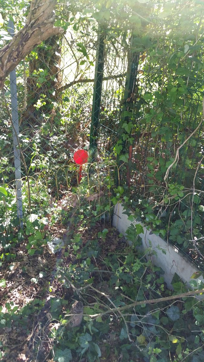 Bureau d'étude pour expertise et projet immobilier ou de copropriété Bordeaux Gironde